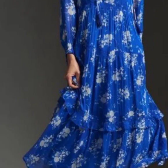 Anthropologie The Marais Printed Chiffon Maxi Dress Floral Blue Gray - Picture 3 of 7